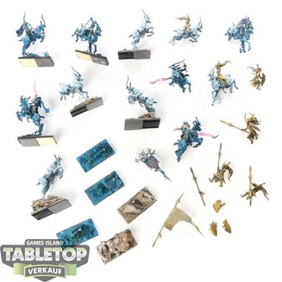 Wood Elf Realms - 12 x Wild Riders - teilweise bemalt