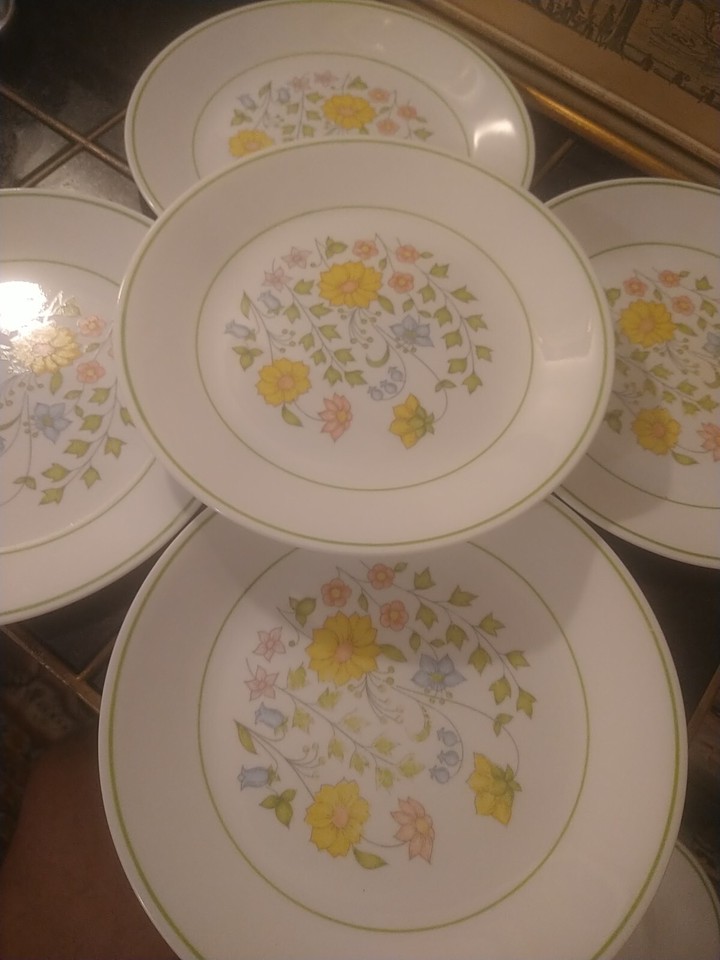 5 PC SET CORELLE SPRING MEADOW BOUQUET WILDFLOWER 8 1/2" SALAD LUNCHEON