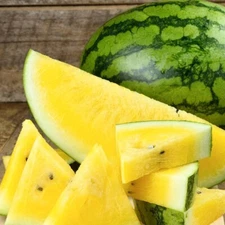 10+ Yellow Gem Watermelon Seeds - Non GMO - True Yellow - Very Sweet! ----- RARE
