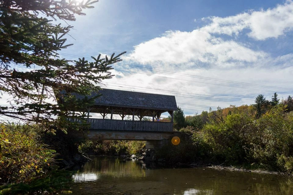 Maple sugar candy in decorative tin 1 lbs. 1/2 lbs.  - Image 4 of 4
