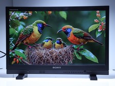 Sony PVM-A250 25" TRIMASTER EL Professional OLED Production Studio Monitor