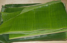 FRESH BANANA LEAVES ORGANIC TEXAS 3 POUNDS