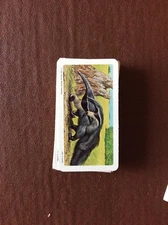 L1E Trade Card Brooke Bond Canada Animals And Their Young No 9 Anteater