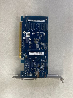 Pegatron Nvidia GeForce GT 620 GB DDR3 PCI Express x16 Video Card  687579-001