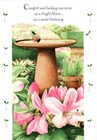 Get Well Soon Comfort Heal Bird Bath Birdsong By Marjolein Bastin ...