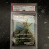 Sceptile EX 082/081 XY7 bandit ring SR 1st ED Pokemon Card psa 8 pop 5