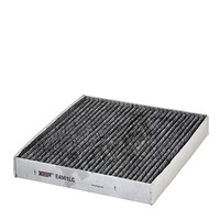 Hengst Filter E4961LC Filter, Innenraumluft FÜR Hyundai KIA KIA (Dyk)