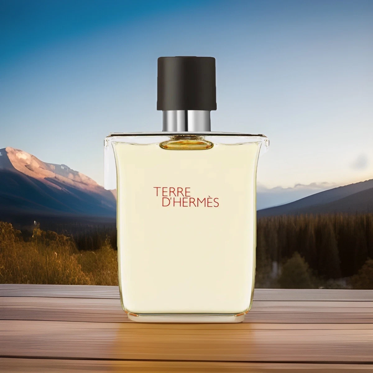 Terre D Hermes Tester for sale - eBay