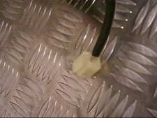 Retroviseur gauche (ou coque) Suzuki IGNIS