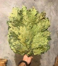 12 Oak brooms sauna banya venik whisks eco 2025 Ukrainian