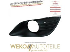 Lüftungsgitter, Stoßfänger links DIEDERICHS 1417043 für FORD