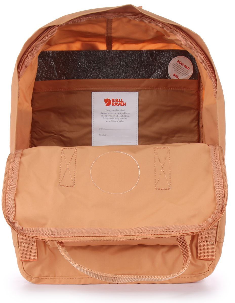 s-l1200.jpg display picture 2