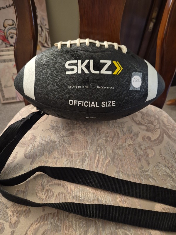 Sklz Hanging Football