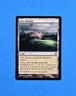1x New Benalia Duel Decks Venser vs Koth Mtg Magic Gathering Card Land Mana 35