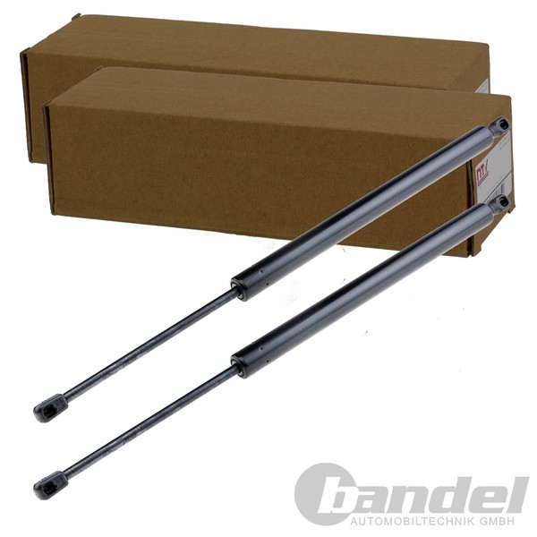 2X NTY Gasfedern KOFFERRAUM-LIFTER Passend FüR Ford Galaxy | AE-FR-042-image