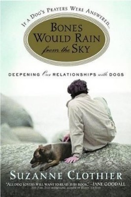 S. Clothier Bones Would Rain from the Sky (Paperback)