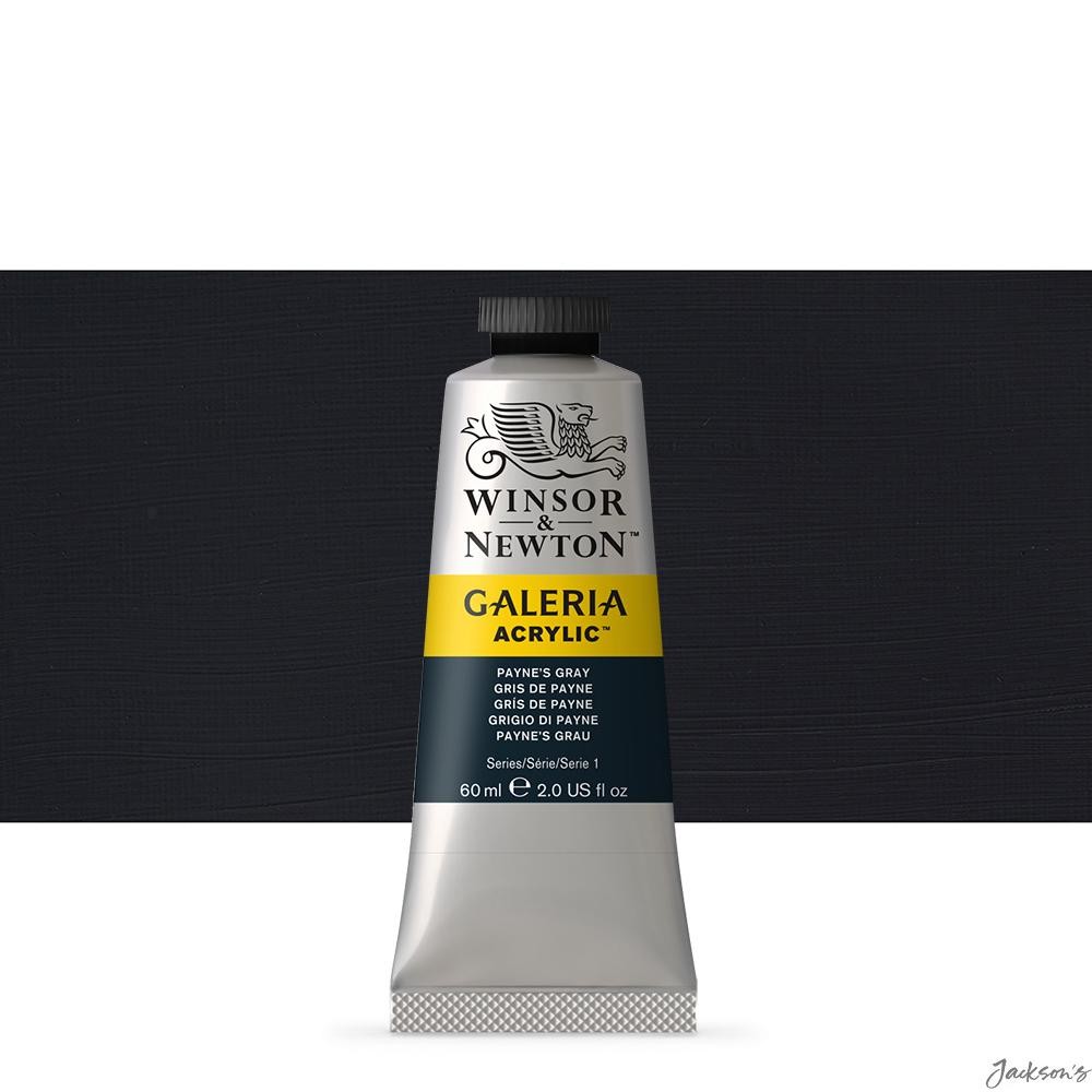 Winsor & Newton Galeria Acrylic Paint Tube 60ml Paynes Grey For Artists Painting