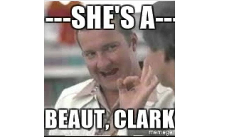 47 48 49 50 51 52 53 Chevy Chevrolet gmc Truck door seals weatherstrips - Image 4 of 4