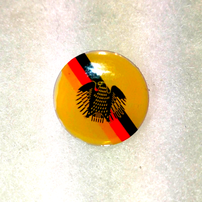 Vintage beige blue and red Thunderbird pin | eBay
