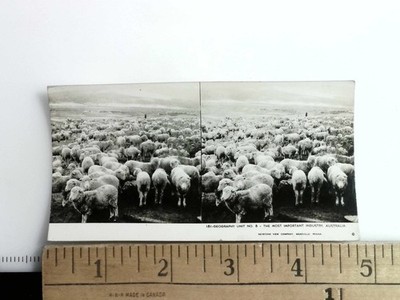 The Most Important Industry Australia Stereoview Keystone View Co. 1930s