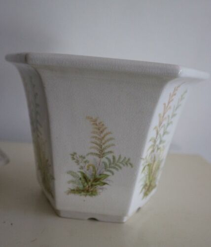 Cache pot en ceramique & soucoupe ROYAL WINTON POTTERY UK décor fougeres - Afbeelding 1 van 7