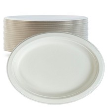Biodegradable Sugarcane Plate Microwavable Heavy Duty 10x8 Inch 125 PCS