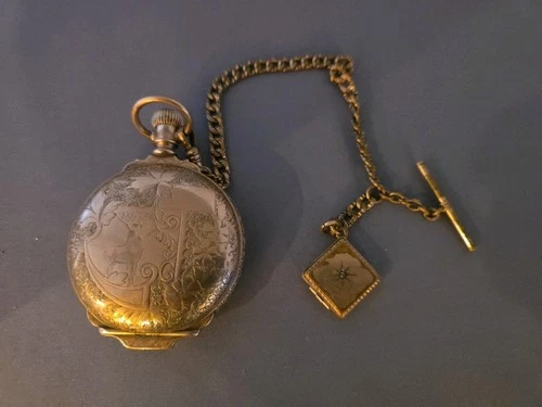 Vintage Antique Elgin Nat’l Watch Co. Hunter Pocket Watch 4602452