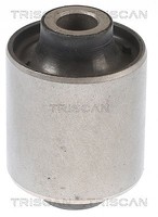 Triscan Lagerung, Lenker Achse, AußEn, Der, Hinten, Hinter, Hinterachse, Innen