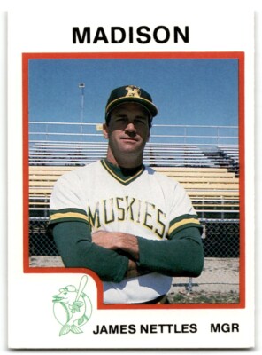 1987 ProCards Jim Nettles Madison Muskies #491