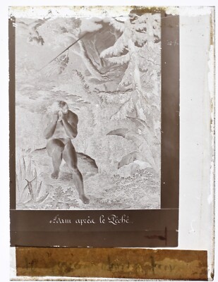 Fotografie ein Gravur c1860 Platte Gläser negativ mit Kollodium P30n21n11