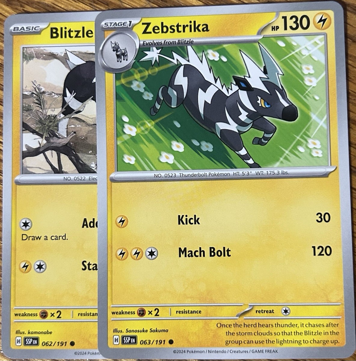 ポケモン - ②ひきち8477 Blitzle 62/191, Zebstrika 63/191 - Evo Line - Surging Sparks