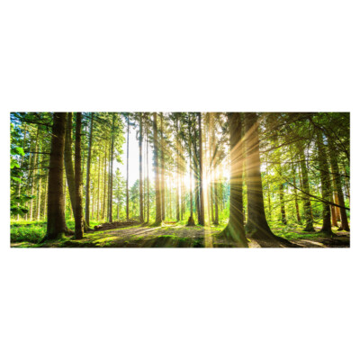 Natural Green Tree Forest Sunset Landscape Canvas Painting Poster Wall Print Art
