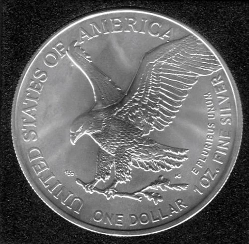 2022 American Silver Eagle Coin 1 Oz Fine Silver Bullion 2022-W