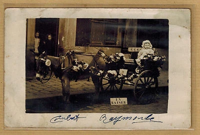 Cpa Carte Photo RPPC attelage calèche tirée par un âne enfant bt044 - Photo 1/2