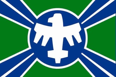 Aufkleber Starship Troopers Federation Flagge Fahne 8 x 5 cm Autoaufkleber 