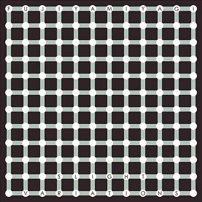 Slight Variations by Fujiya & Miyagi (CD, 2022)