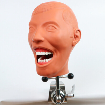 Dental Phantom Head Pre-clinical Training Simulator System - View #9
