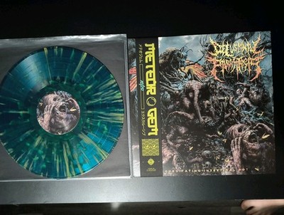Delusional Parasitosis Meteor Gem Exclusive /10 Vinyl LP