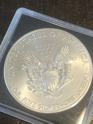 1 Oz Beautiful Silver Round SMI Walking Liberty Eagle Back .999 Fine Silver