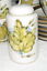 縮圖 3  - John B Taylor TAY7 Louisville Green leaf:18 pieces: cups saucers mug salt shaker