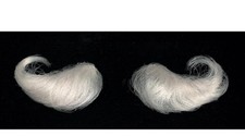 Deluxe Santa Eyebrows