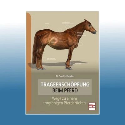 Trageerschöpfung beim Pferd | Sandra Ruzicka - Bild 1 von 2