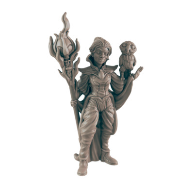 Warlock Human Female - Everyday Heroes - Minis - EC3D - - Dungeons & Dragons - R