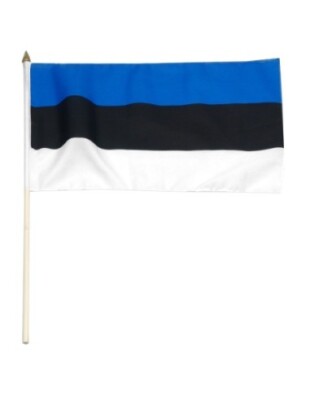 Estonia 12'' x 18'' Mounted Flag
