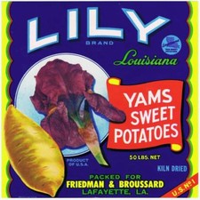 Lily, vintage crate label, yams sweet potatoes, LOT OF 25 LABELS