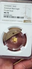 New Listing1/500oz Gold American Bald Eagle