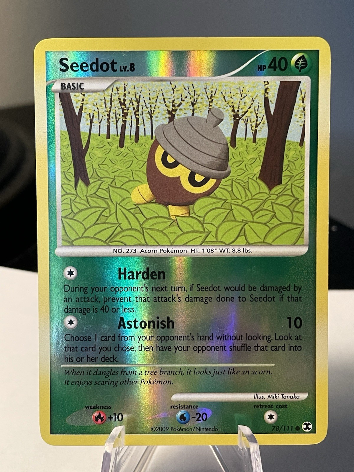 Seedot Rising Rivals Reverse Holo Pokémon TCG 78/111 Platinum Common LP