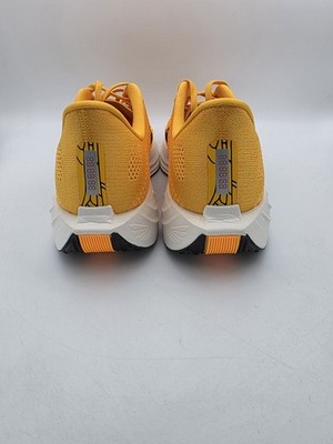 Size 10.5 - Nike Pegasus Plus LV8 Modern Mayfly Pack for  display picture 1