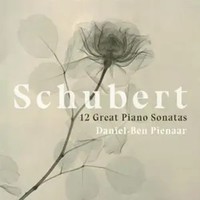 12 Great Piano Sonatas | Daniel-Ben Pienaar | Audio-Cd | CD | 2020 | Integral