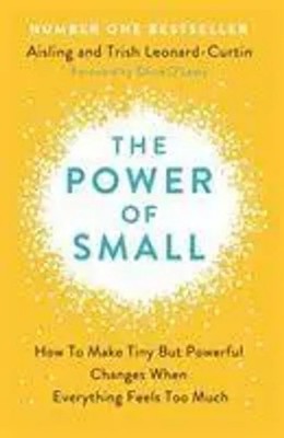 Aisling Leonard-Curtin (u. a.) | The Power of Small | Taschenbuch | Englisch